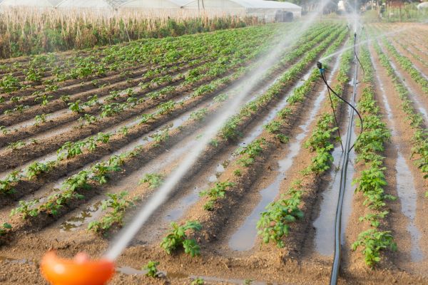Commercial Irrigation Repair
