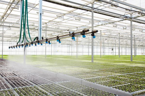 Greenhouse Sprinkler Repair