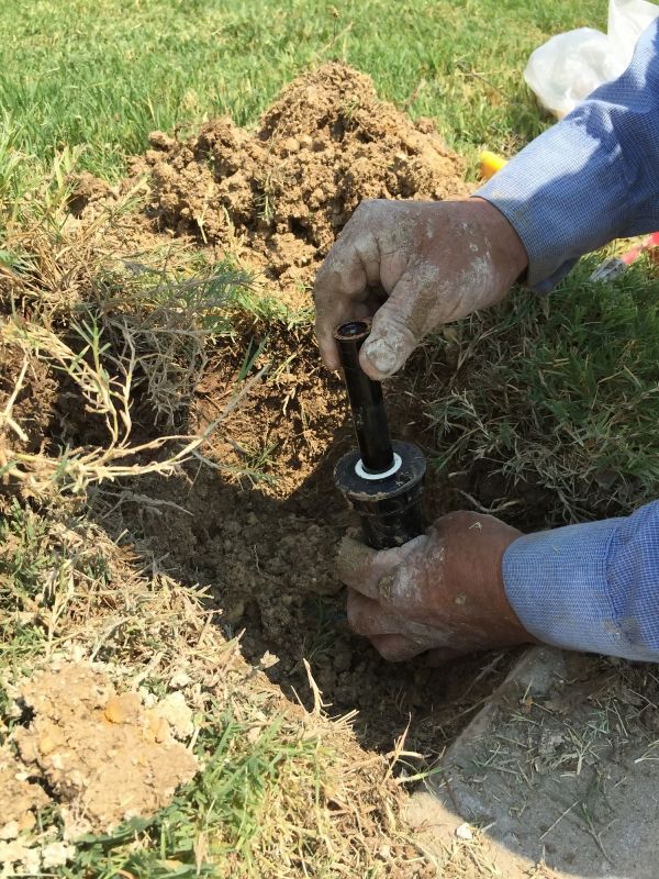 Sprinkler Water Line Repair